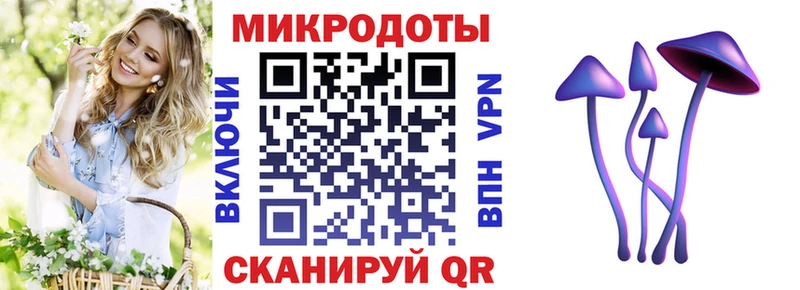 Псилоцибиновые грибы прущие грибы  Купить закладки  Малая Вишера 
